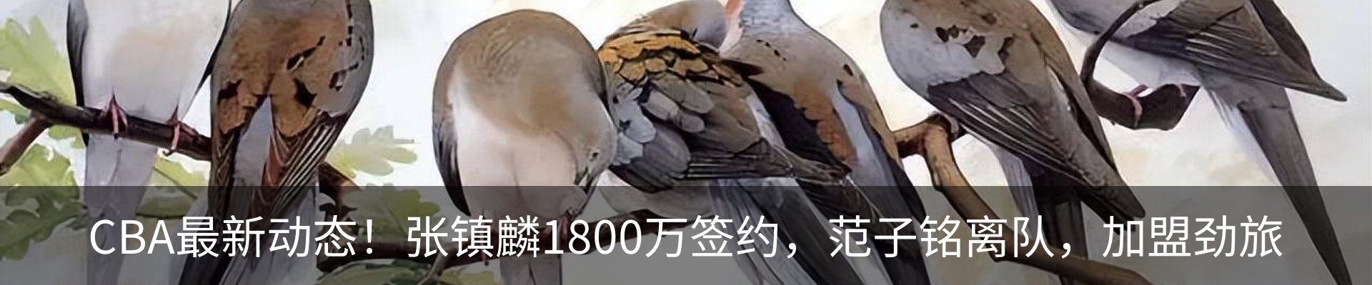 新闻中心